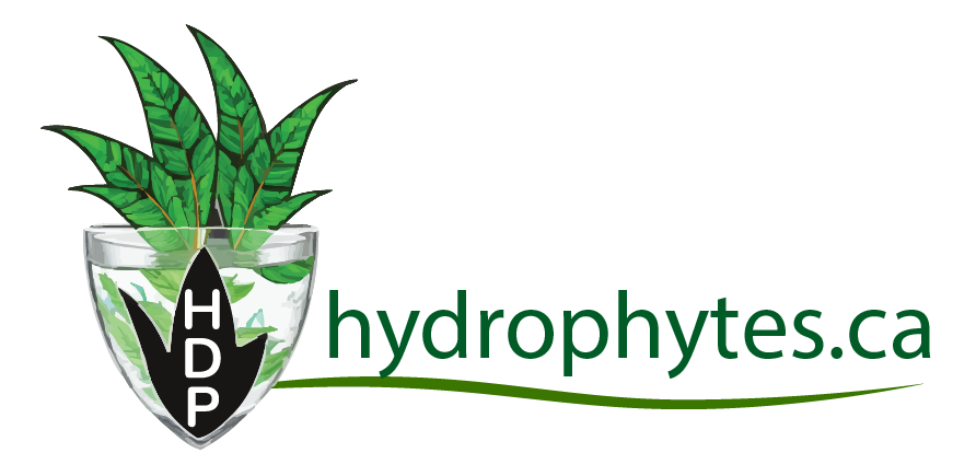 hydrophytes.ca